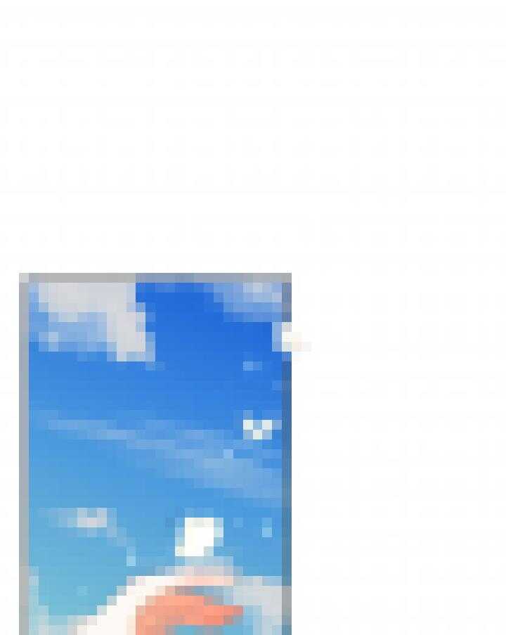 74 第三条路41