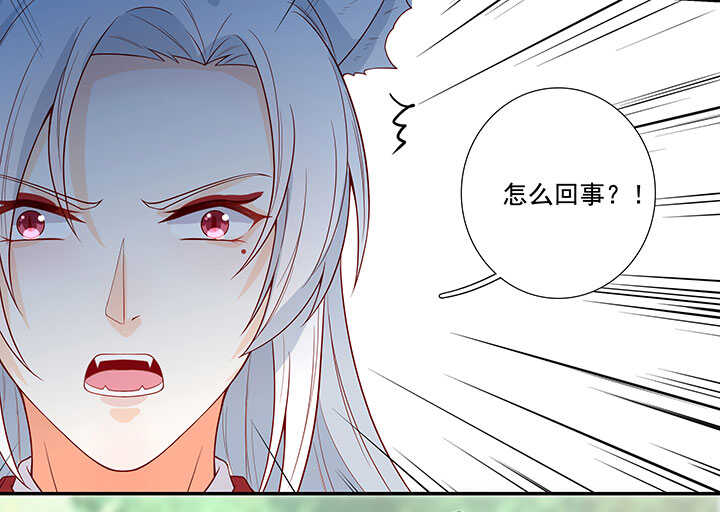 75 放手35