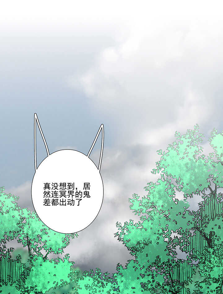 113 小月月出事1
