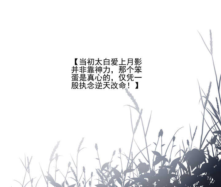 116 我叫月影27