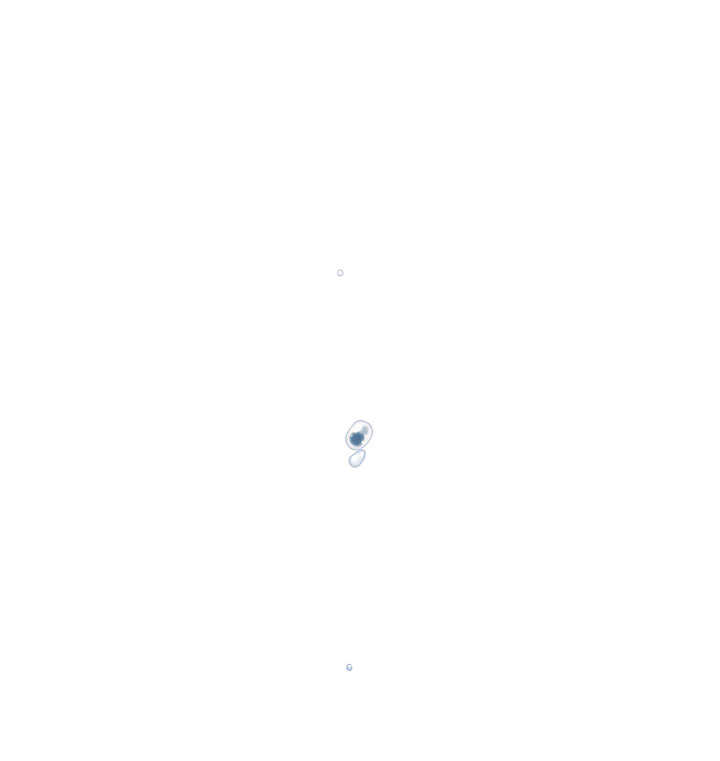 116 我叫月影40