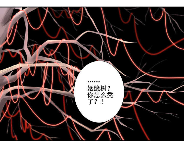 116 我叫月影42