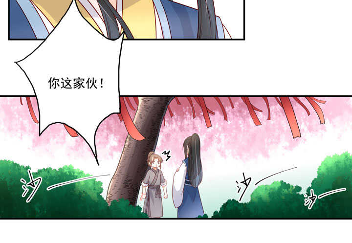 120 观察29