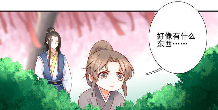 120 观察30