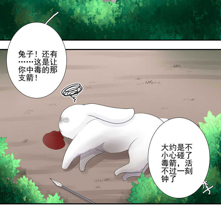 120 观察31