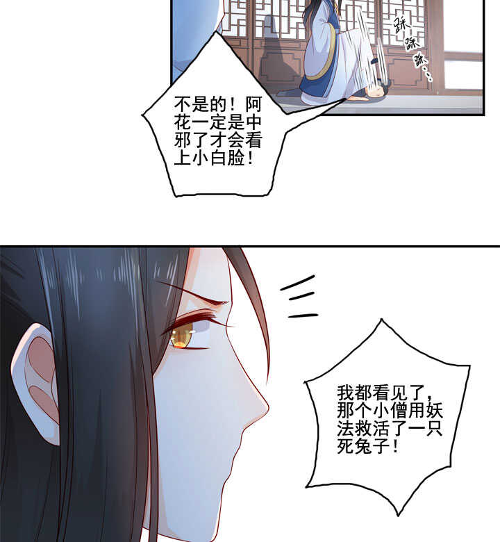 120 观察48