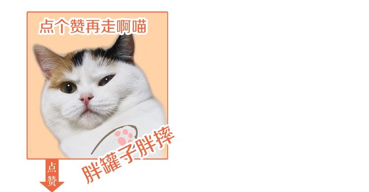 第31话  小娇妻情敌上线？！114