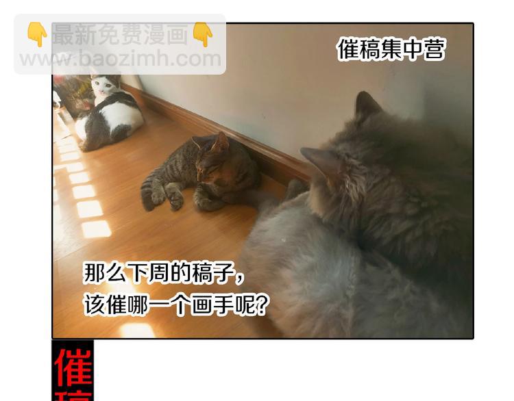 第35话 动手术？138