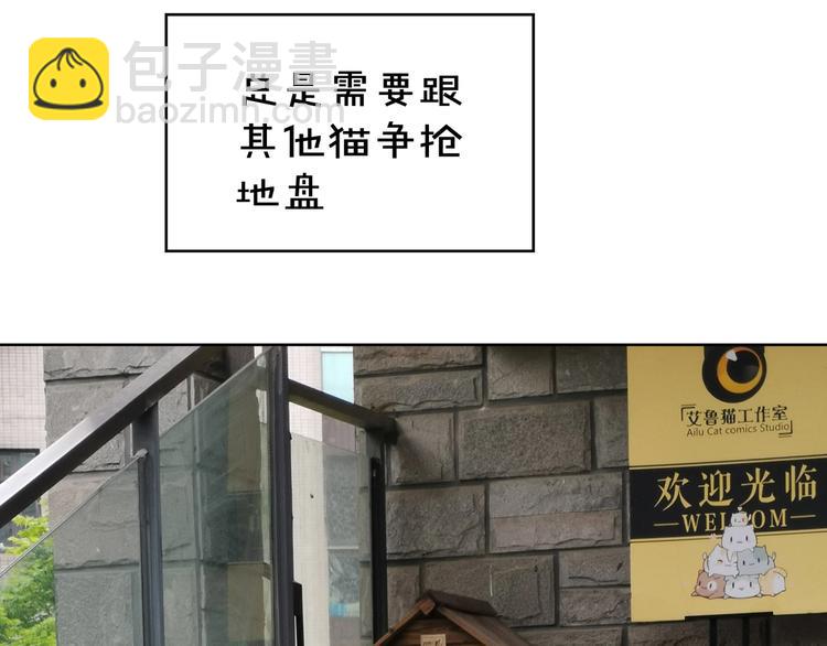 第88话 瑶瑶是安安？133