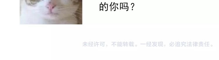 第118话 我们的意见77