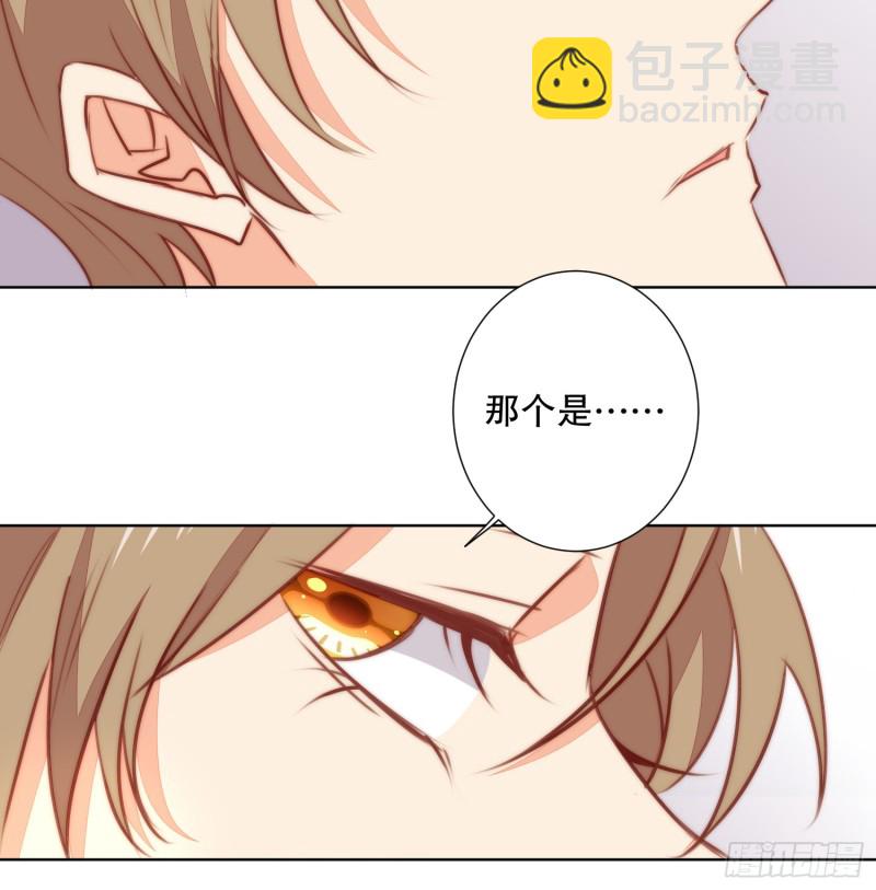 APP的真相13
