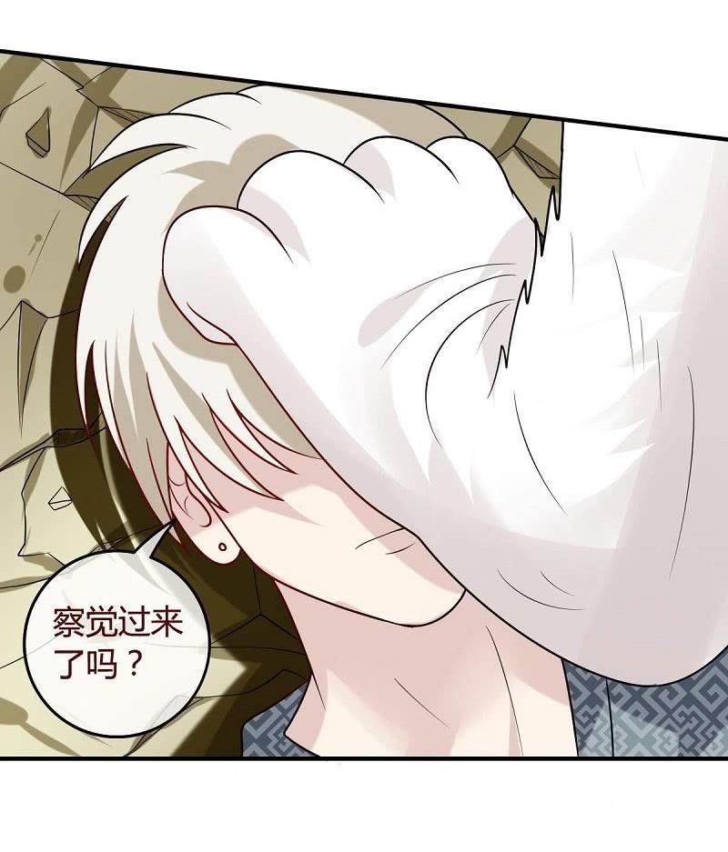 周天星斗大阵1