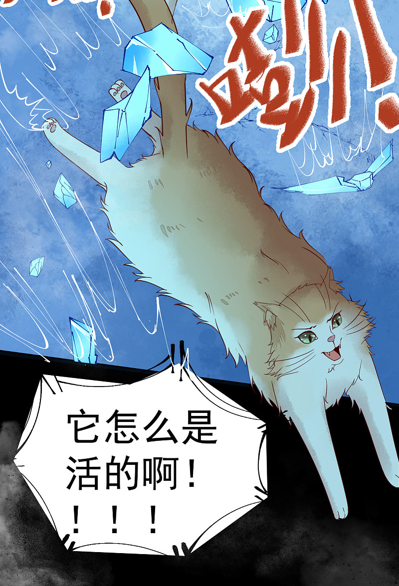 41-变回人了？25