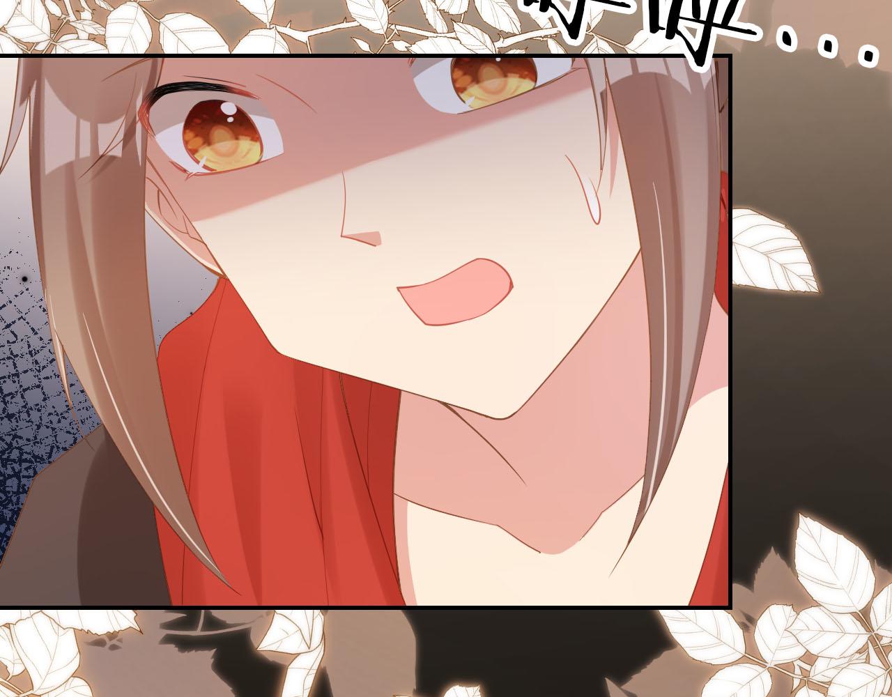 第116话 胜利28