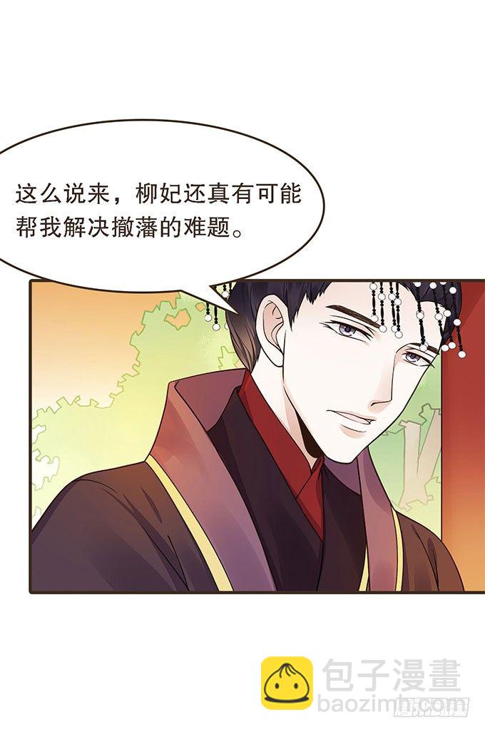 谋划撤藩39