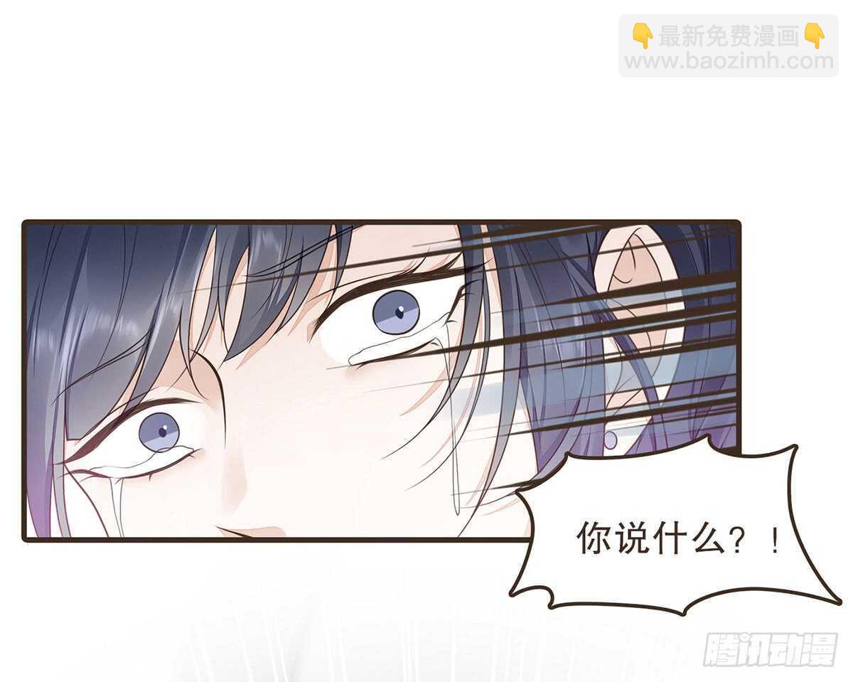 诸葛军师11