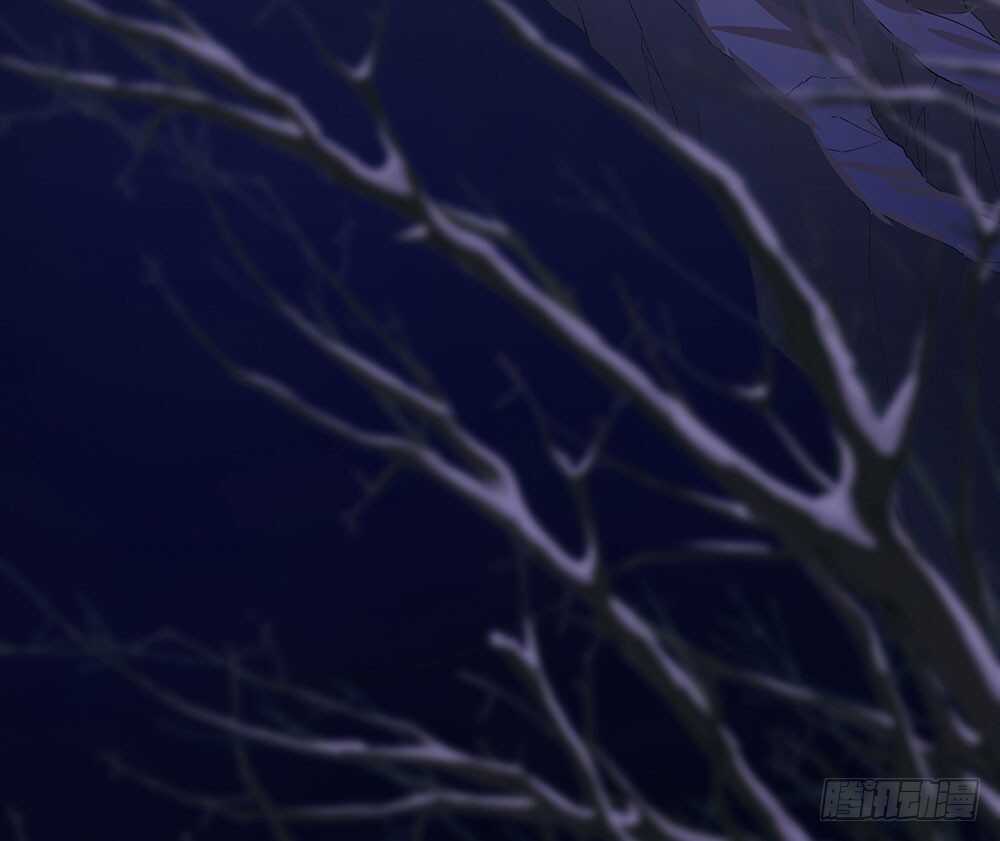 提审23