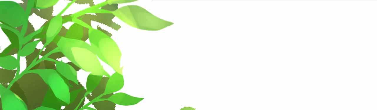 第36话 他的怒火，他的决定94