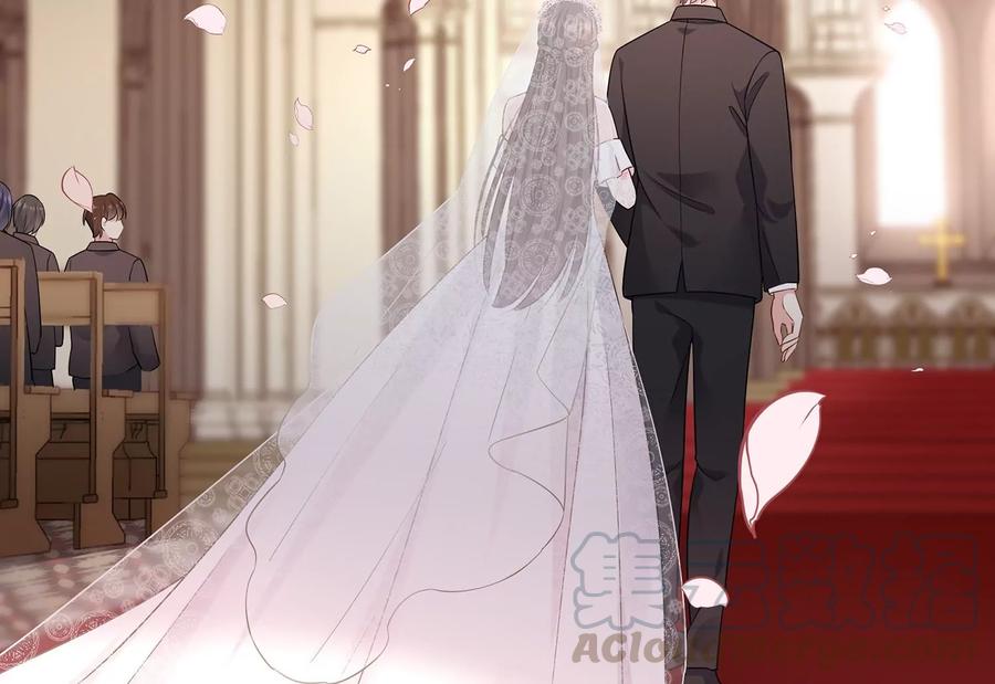 第116话 梦中的婚礼15