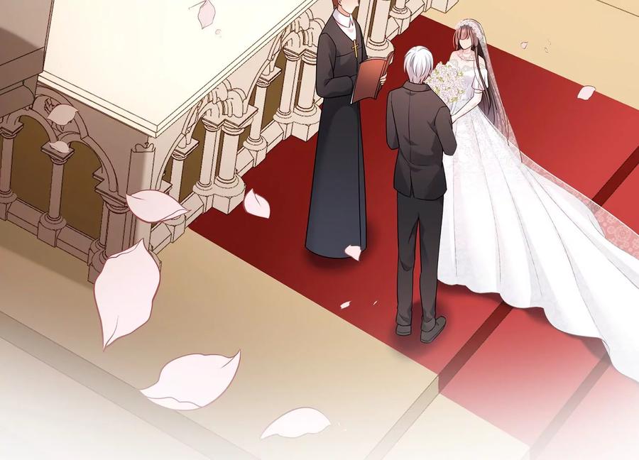 第116话 梦中的婚礼31