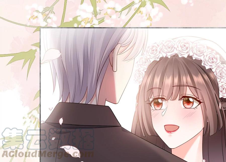 第116话 梦中的婚礼36