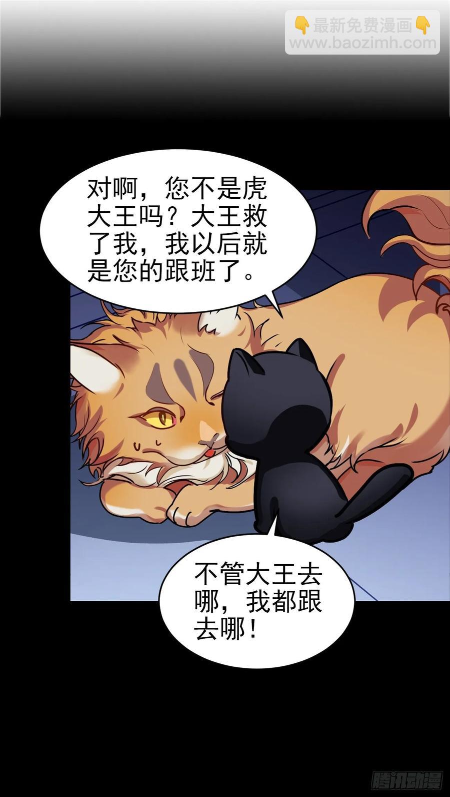 大师失踪的原因（二）11