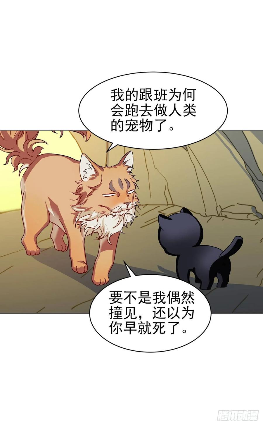 大师失踪的原因（二）13