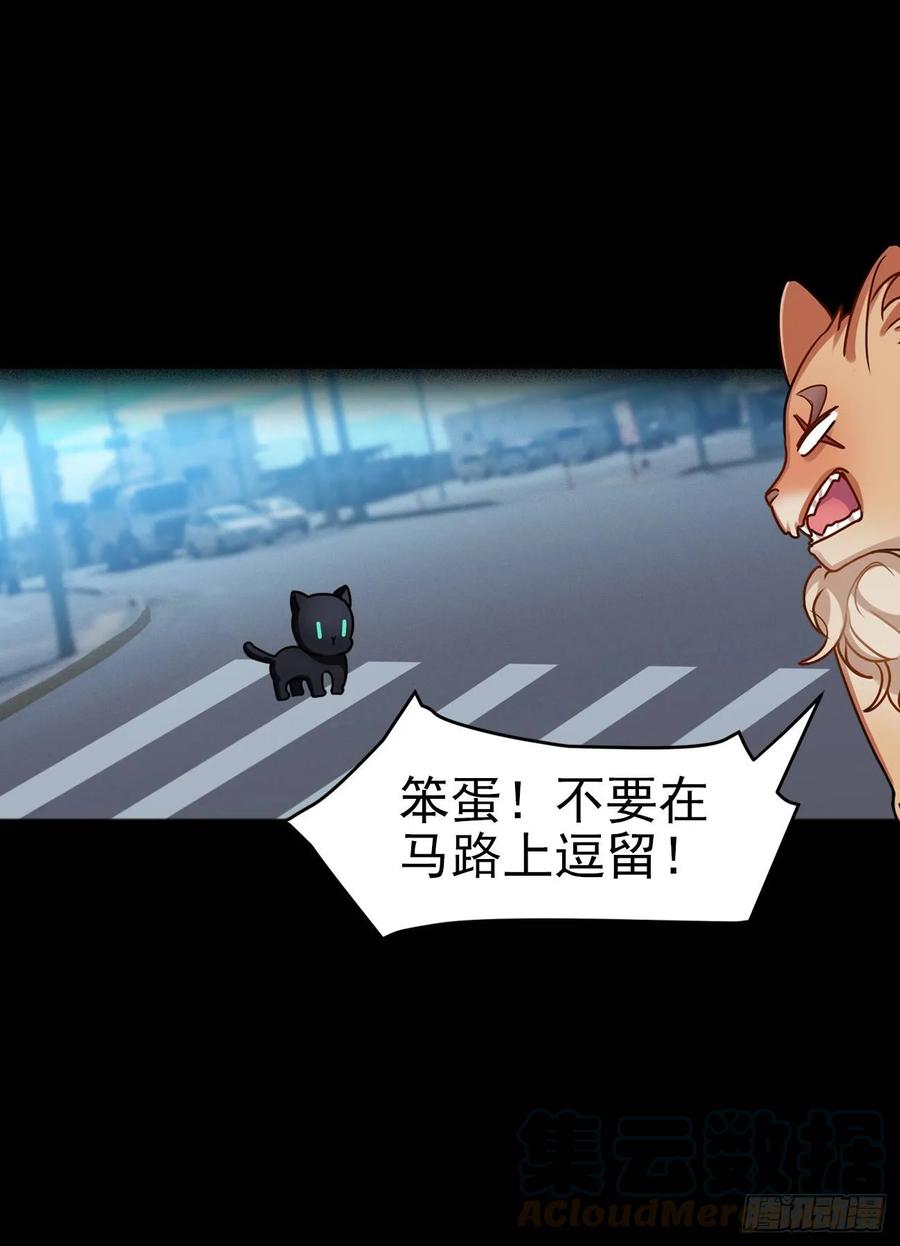 大师失踪的原因（二）21