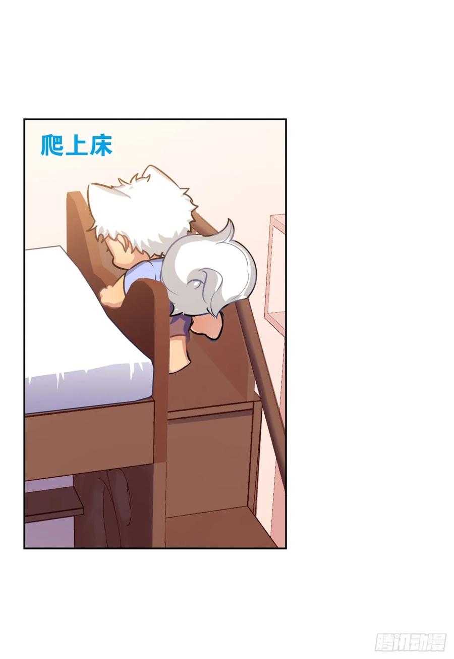 毛毛你怎么了！！！13