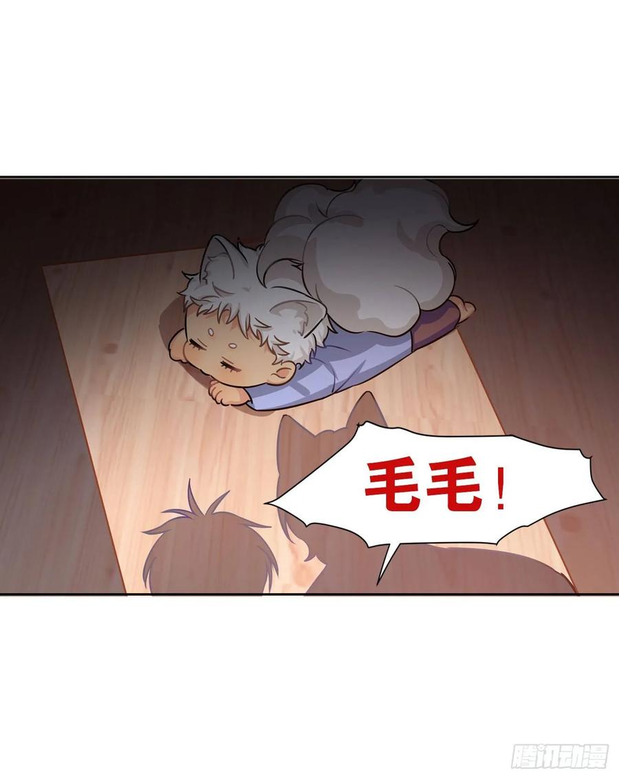 毛毛你怎么了！！！8