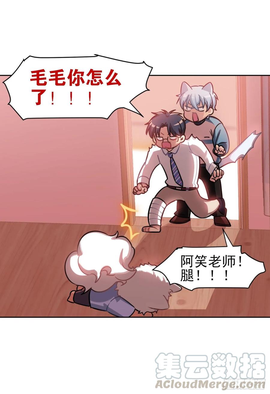 毛毛你怎么了！！！9