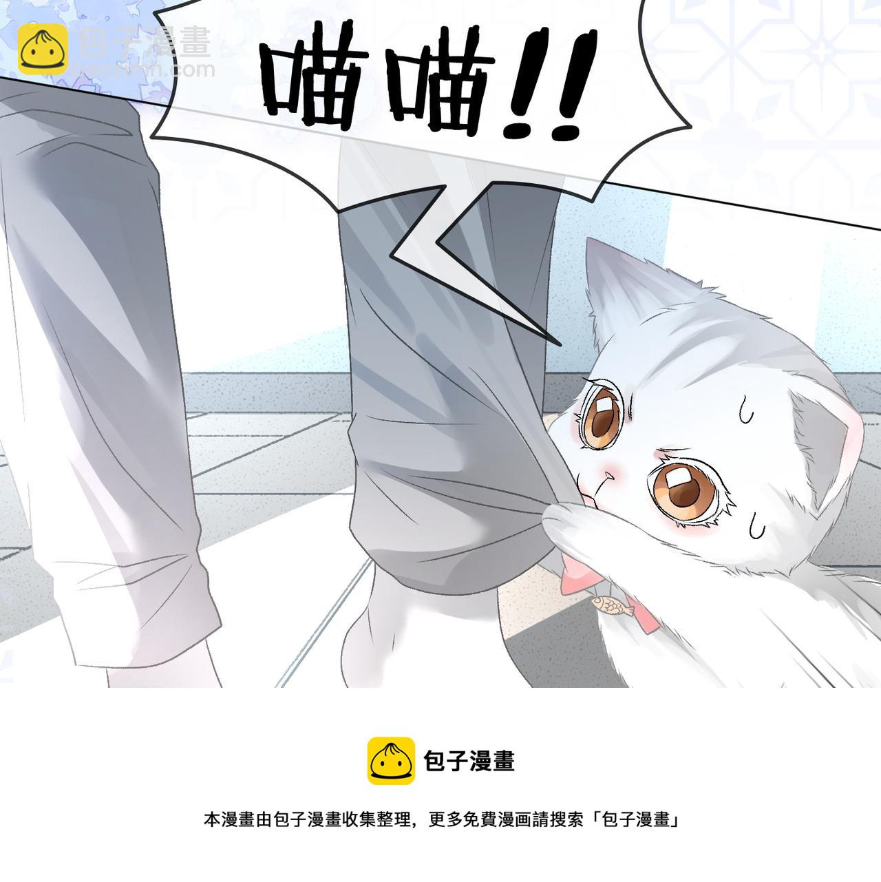 第11话 兔兔生病了？！8