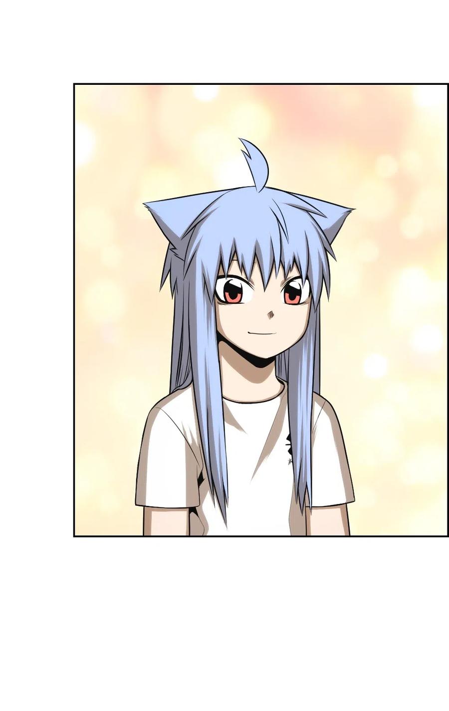 64 6466