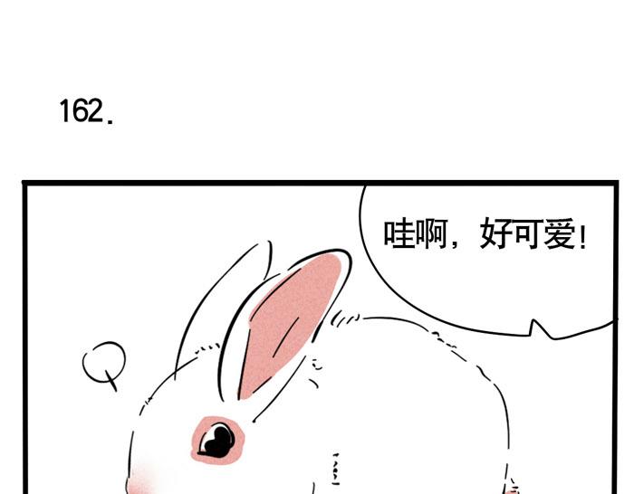 第49话 我要养兔子0
