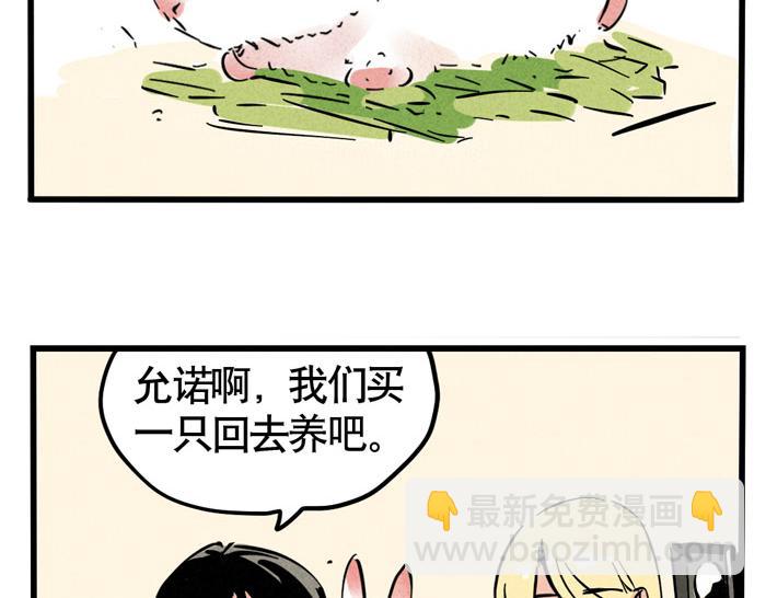 第49话 我要养兔子1