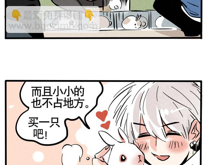第49话 我要养兔子16