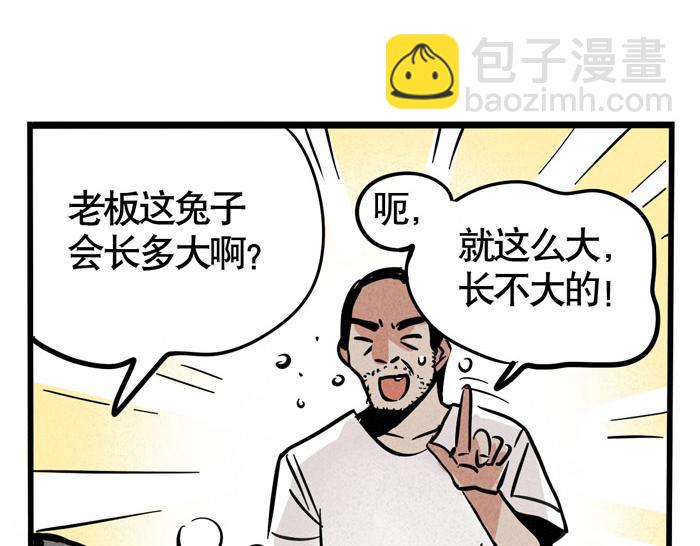 第49话 我要养兔子3
