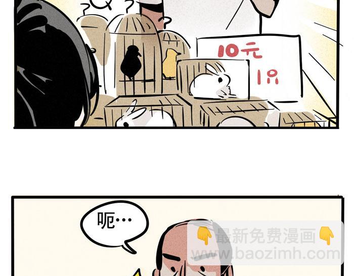 第49话 我要养兔子4