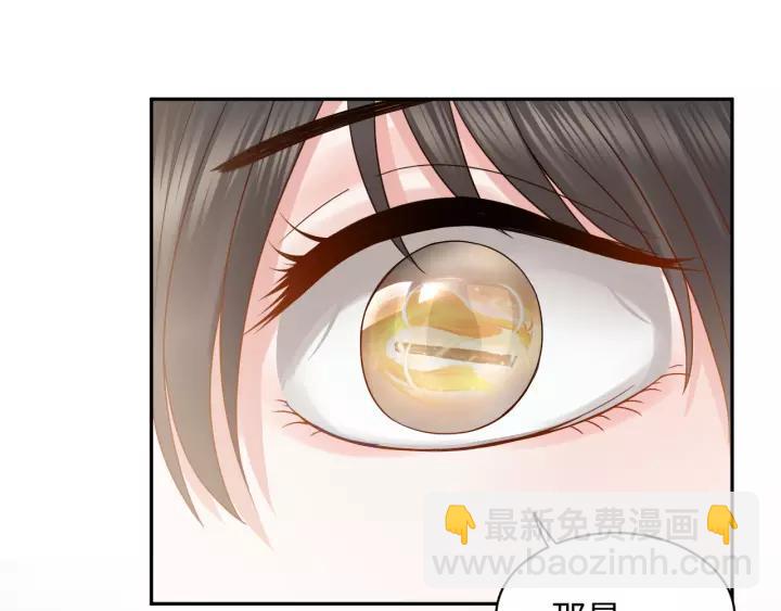 第47话 凤凰之力共鸣97
