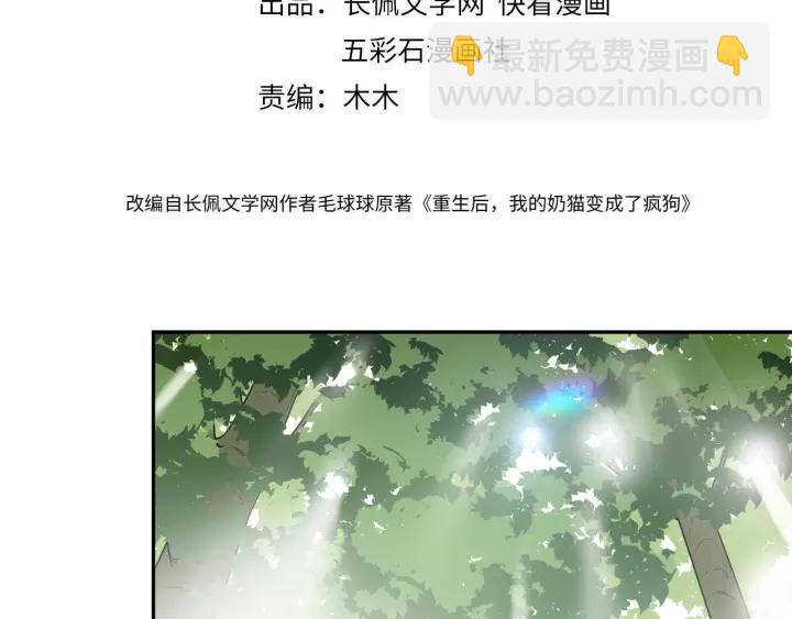 第48话 凤凰的逆天能力3