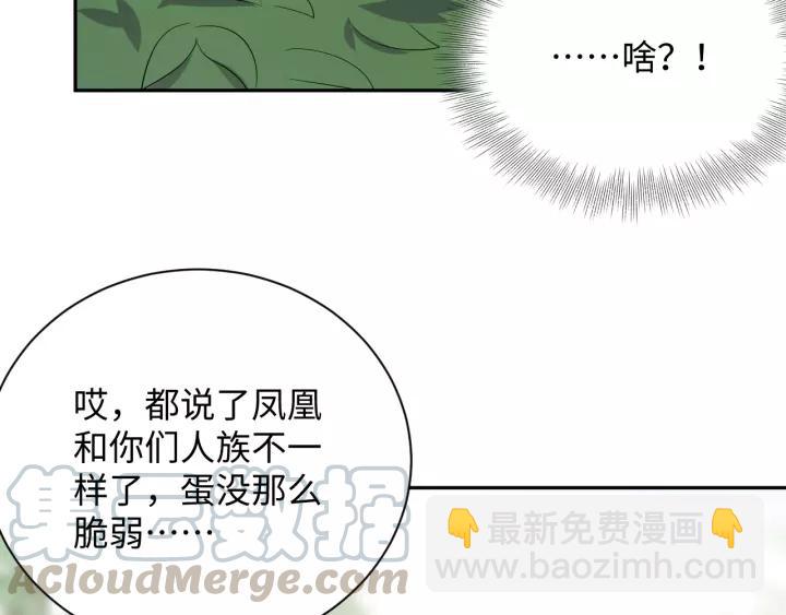 第48话 凤凰的逆天能力36