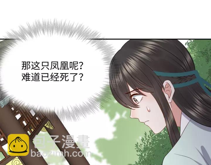第48话 凤凰的逆天能力67