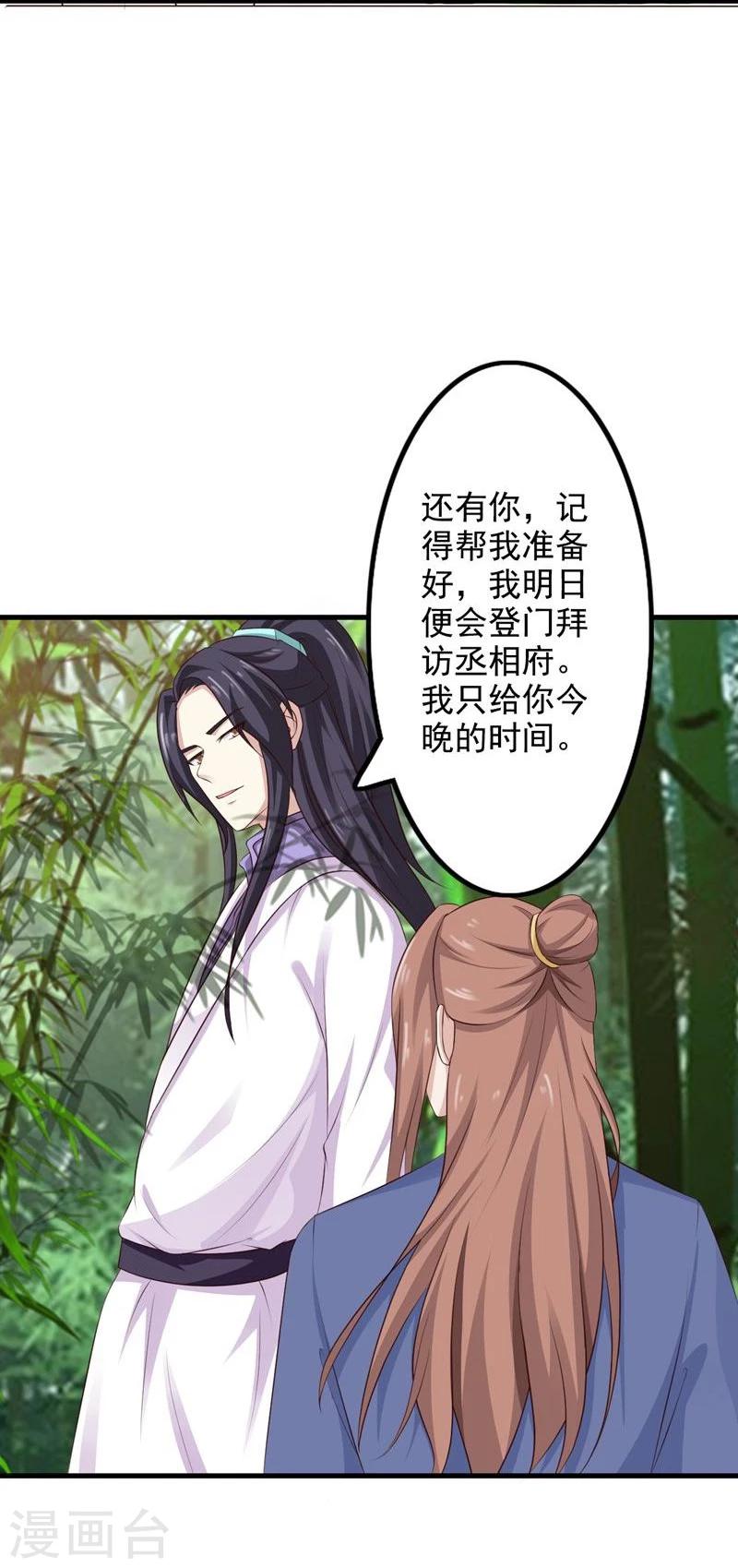 第41话 暗中保护小王妃29