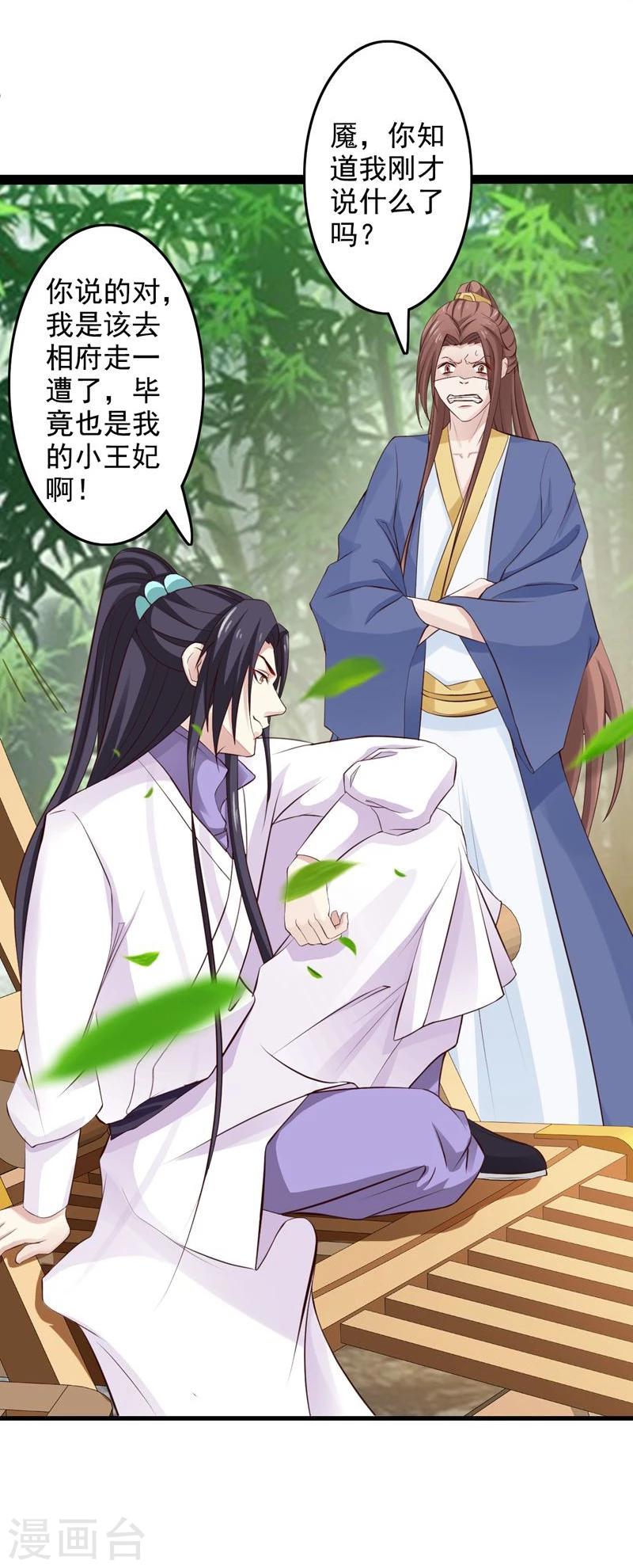 第41话 暗中保护小王妃7