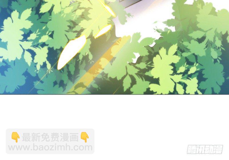 结婚证52