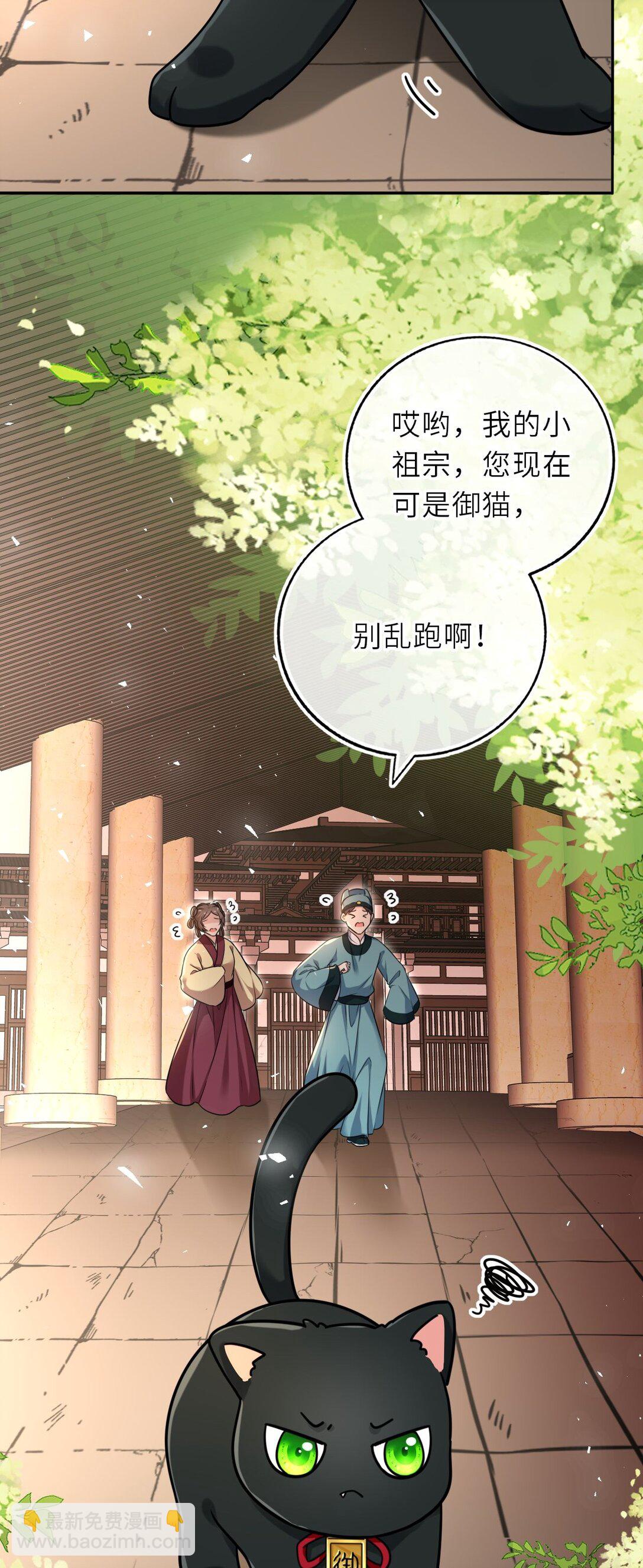 104 帝后登基18