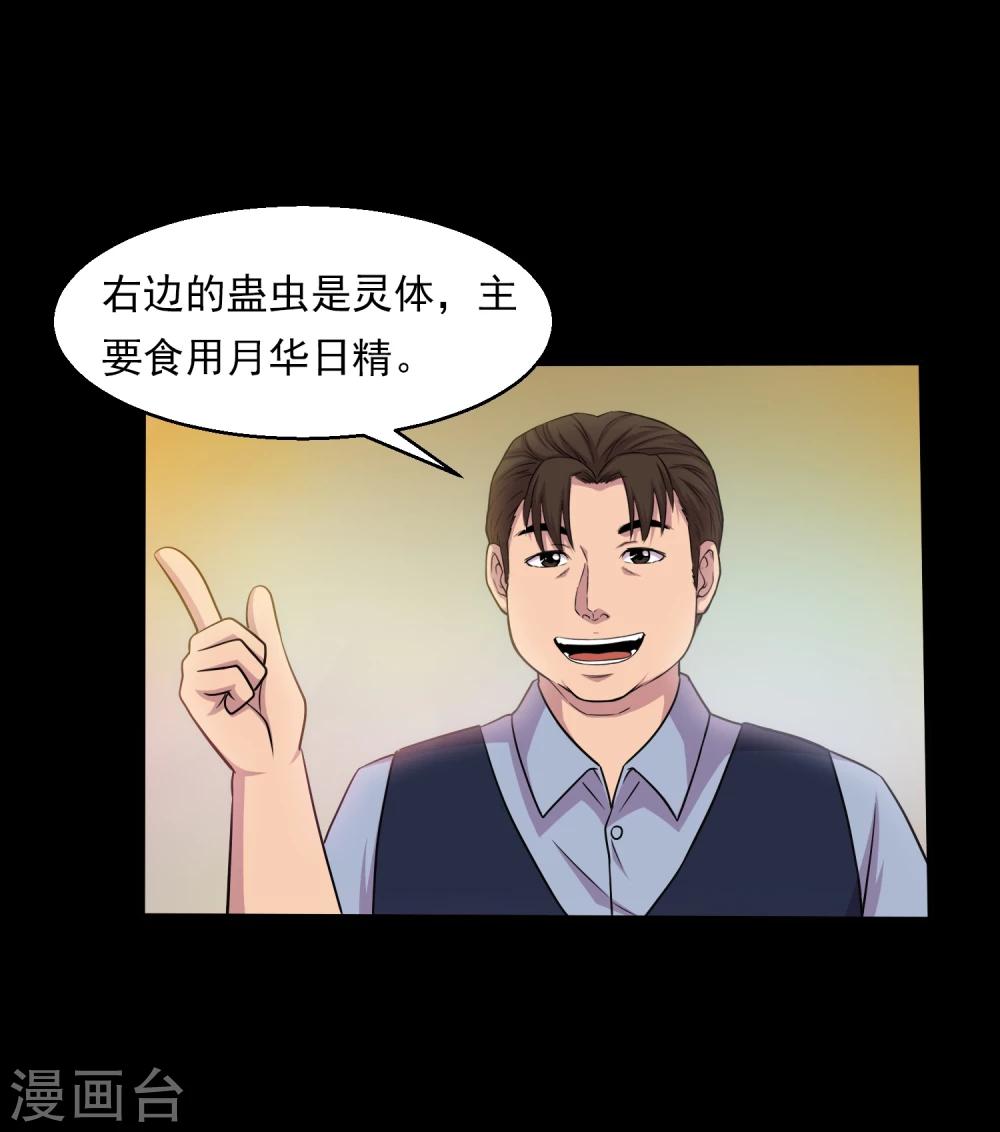 第37话 神奇的养蛊殿19