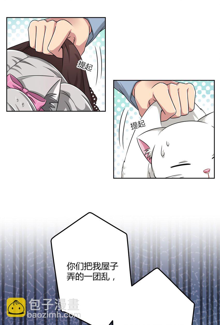 010 猫的报“恩”10