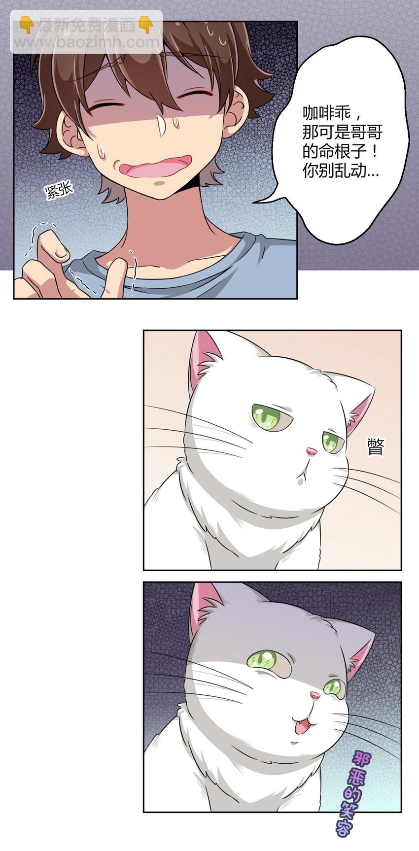 010 猫的报“恩”23