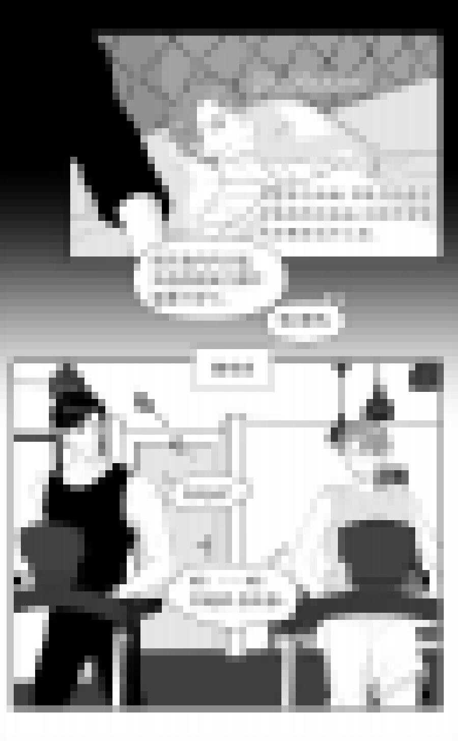 219 chap.33.51